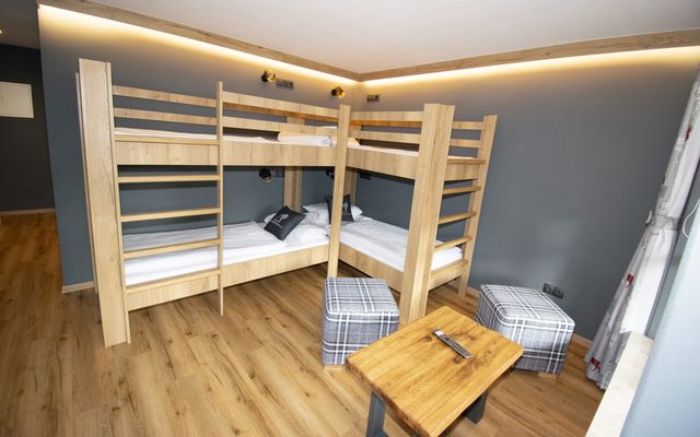Kater Flo image 4 - Familotel Bayerischer Wald Der Böhmerwald