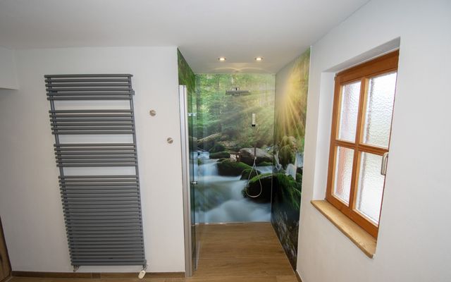 Kater Flo image 9 - Familotel Bayerischer Wald Der Böhmerwald