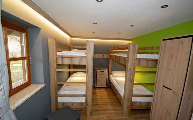 Kater Flo image 7 - Familotel Bayerischer Wald Der Böhmerwald