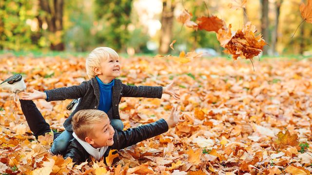 Goldener Herbst