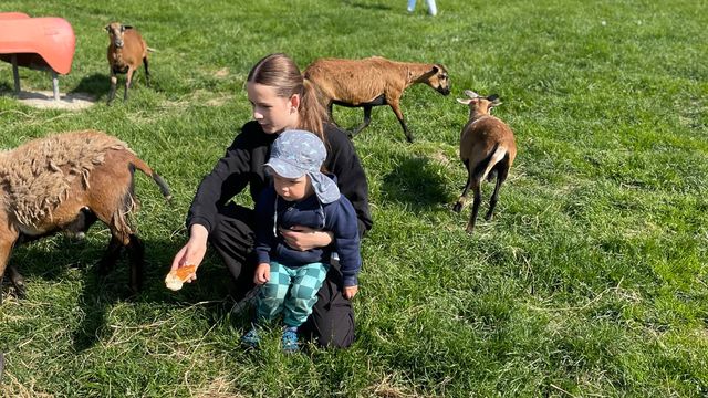 Schnuppertage im Bayerischen Wald