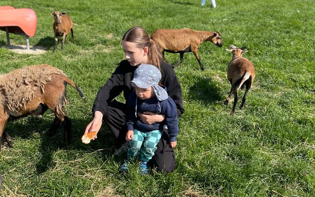 Familotel Bayerischer Wald Der Böhmerwald: Schnuppertage im Bayerischen Wald