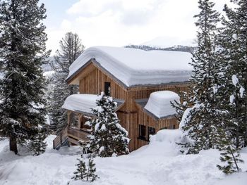 Chalet Turracher Höhe I - Styria  - Austria