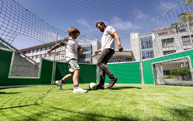 Soccer Cage