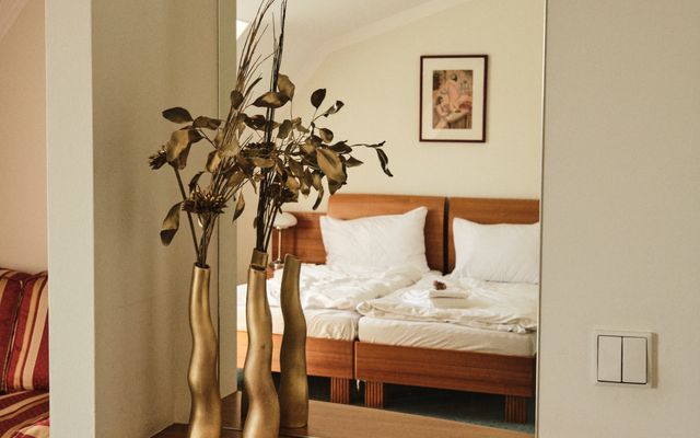 Unterkunft Zimmer/Appartement/Chalet: Business Class Doppelzimmer
