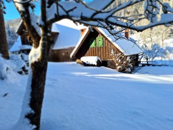 Mühlsteinhütte - Kärnten - Österreich