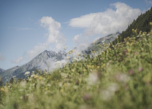 Biohotel Rastbichlhof , Neustift im Stubaital, Tyrol, Austria (22/45)