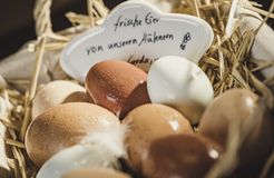 Biohotel Rastbichlhof: Frische Eier aus eigener Haltung - Biohotel Rastbichlhof , Neustift im Stubaital, Tirol, Österreich