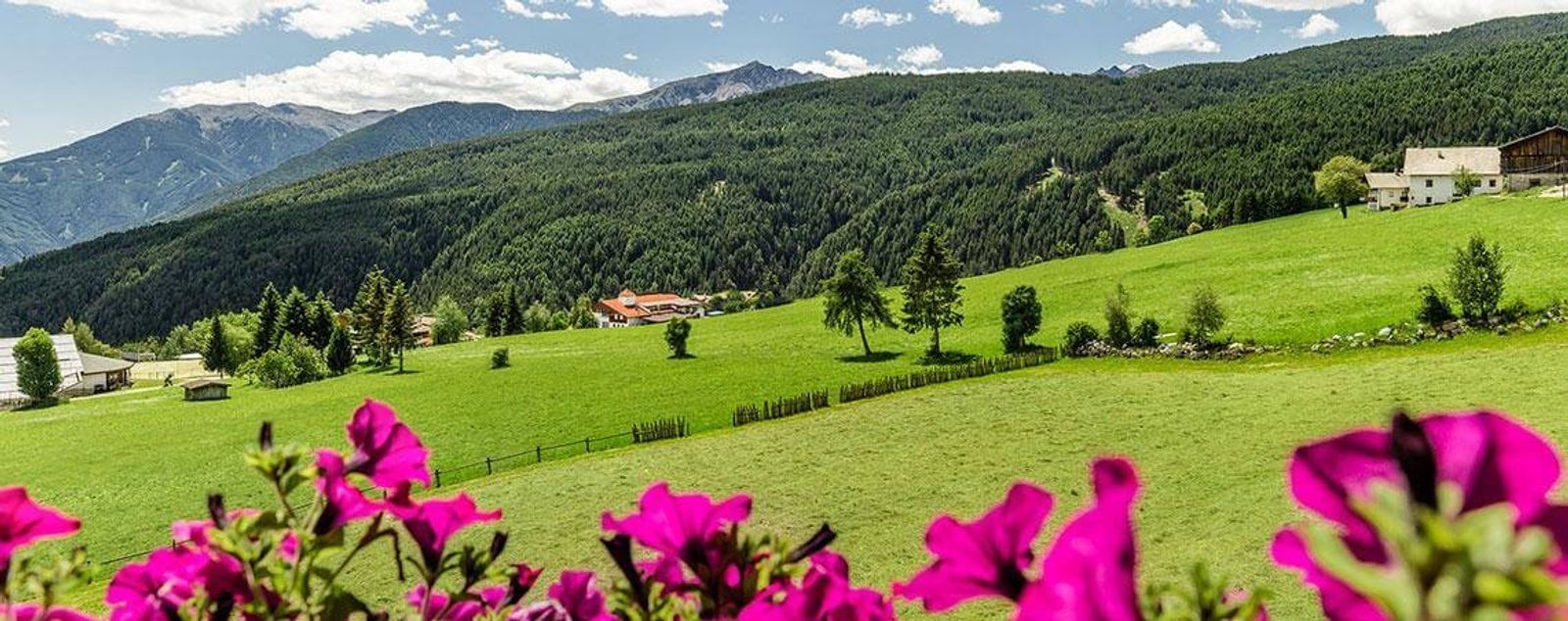 Vital Suite image 8 - Panorama Dolomites Wellbeing SONNENBERG