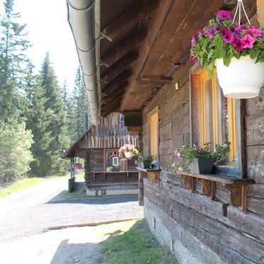 Sommer, Almhütte Hebalm II, Pack, Steiermark, Steiermark, Österreich