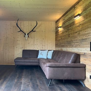 Couch with TV, Lärchenchalet, Weißensee, Kärnten, Carinthia , Austria