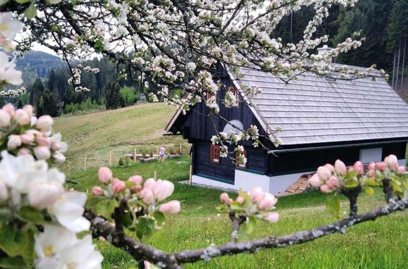 Sommer, Alte Schmiedn, Stainz, Steiermark, Österreich