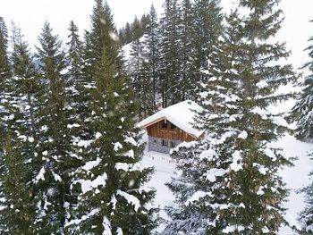 Alpin Chalet Stern - Salzburg - Austria