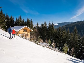 Bergchalet Kuhgraben - Carinthia  - Austria