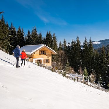 Winter, Bergchalet Kuhgraben, Bad St. Leonhard, Carinthia , Austria