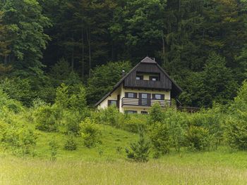 Almhütte Mrzlica - Steiermark - Slowenien