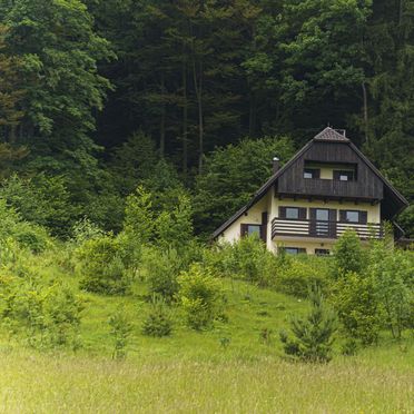 Sommer, Almhütte Mrzlica, Cece, Steiermark, Slowenien