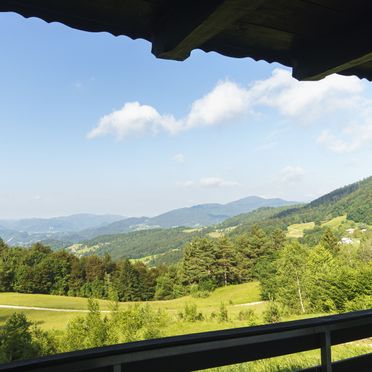 Außen, Almhütte Mrzlica, Cece, Steiermark, Slowenien