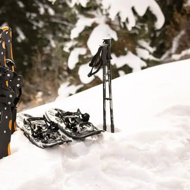 Schneeschuhe, Chalet Tannenhaus I, Gmünd in Kärnten, Kärnten, Österreich