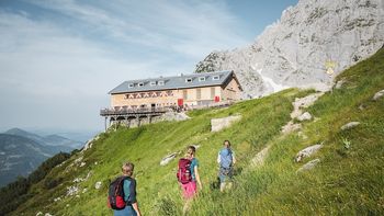 Almzauber im Juli