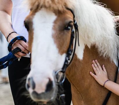 Ferienwelt Kesselgrub: Kesselgrub Reitererlebnistage