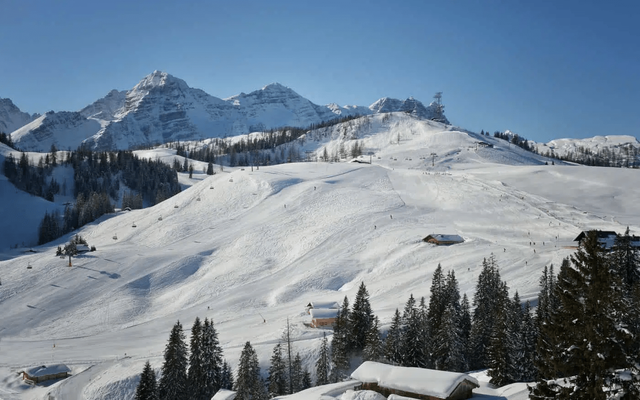 Friedlwirt Saalachtal im Winter