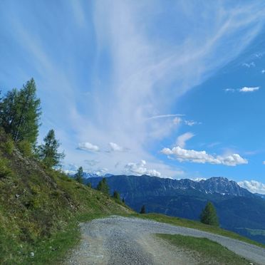 Sommer, Stauder-Hütte, Greifenburg, Kärnten, Österreich