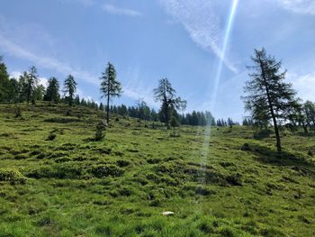 Stauder-Hütte - Carinthia  - Austria