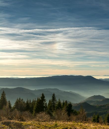 Angebot: Nature Days - Natur- & Sporthotel Zuflucht