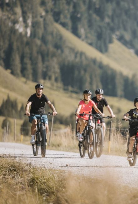 Angebot: Last Minute FamilienZeit - Hotel Gaspingerhof