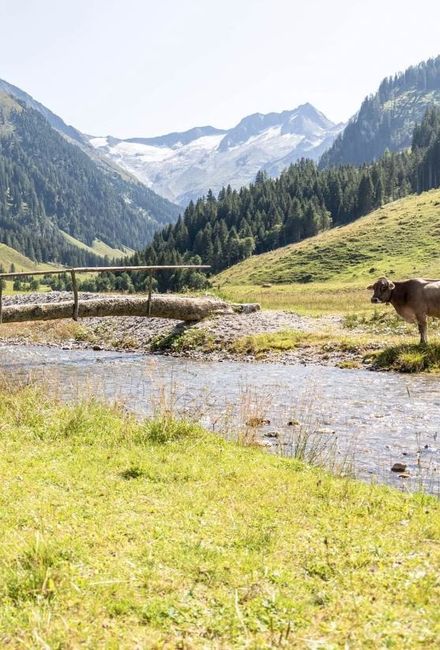 Angebot: Sommerstart - Hotel Gaspingerhof
