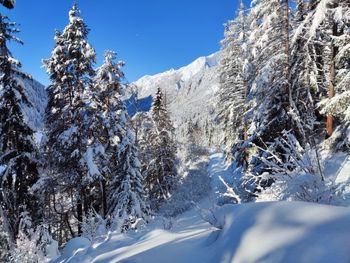 Hütte Lieblingsplatz - Vorarlberg - Austria