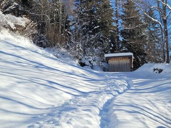 Hütte Lieblingsplatz - Vorarlberg - Austria