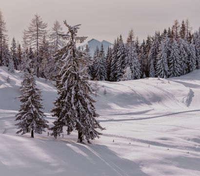 Hotel Berghof | St. Johann in Salzburg: Salzburg Mountain Christmas