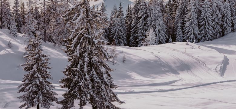 Hotel Berghof | St. Johann in Salzburg: Salzburger Bergweihnacht