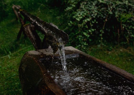 Sostenibilità - Bio- und Vitalbauernhof Bacherhof