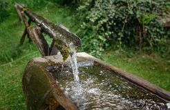 Bio- und Vitalbauernhof Bacherhof: Natur erkunden - Bio- und Vitalbauernhof Bacherhof, Millstatt am See, Millstätter See, Kärnten, Österreich