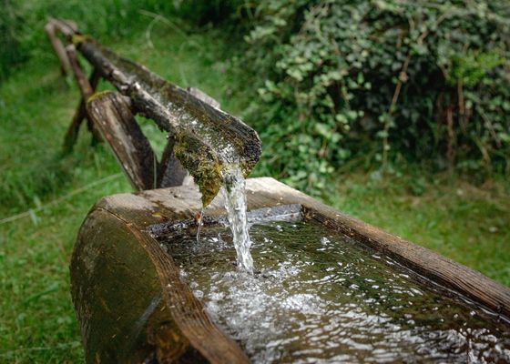 Nachhaltigkeit - Bio- und Vitalbauernhof Bacherhof