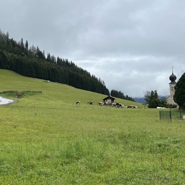 Sommer, Chalet Tauernblick, Hohentauern, Steiermark, Österreich