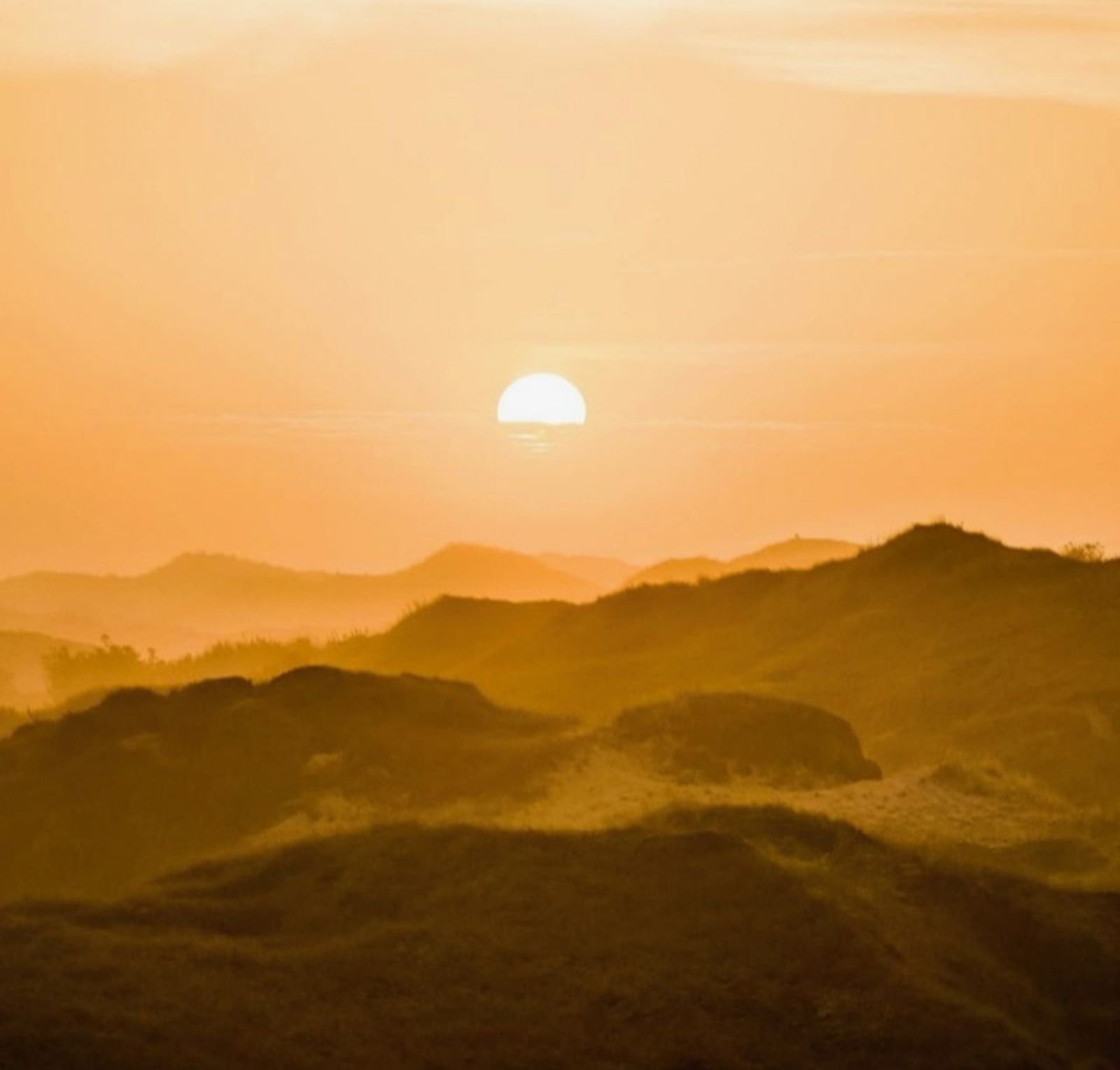 Angebot: Yesvember - Freywind easy