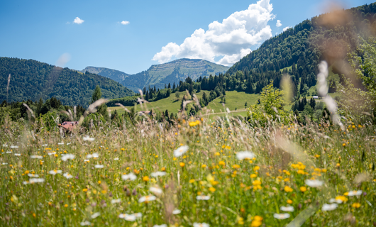 Allgäuer Gipfel-Glück