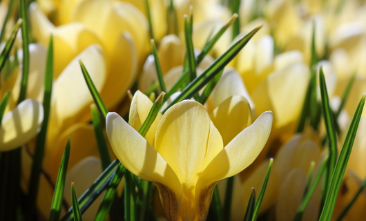 Ostern 2027