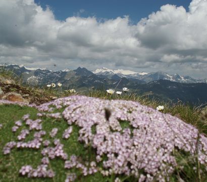 Familien-, Genuss- und Spa-Resort Jesacherhof: Sommerstart 7=6