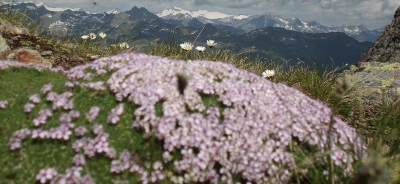 Familien-, Genuss- und Spa-Resort Jesacherhof: Sommerstart 7=6