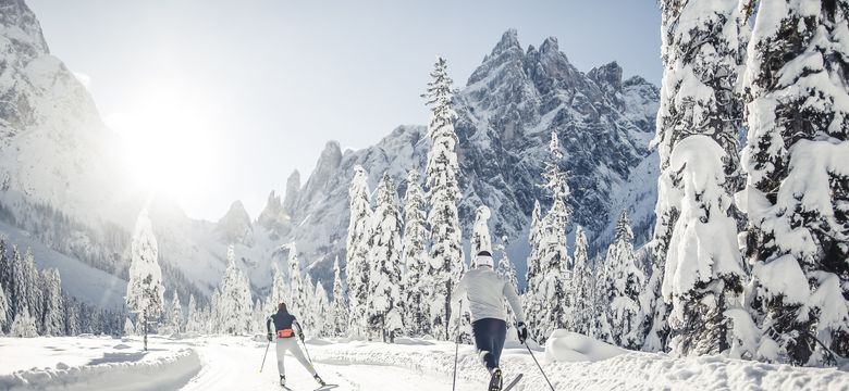 Panorama Wellness Resort Alpen Tesitin: AT Olympia