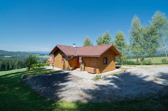 Summer, Kleine Almliebe, Preitenegg, Carinthia , Austria