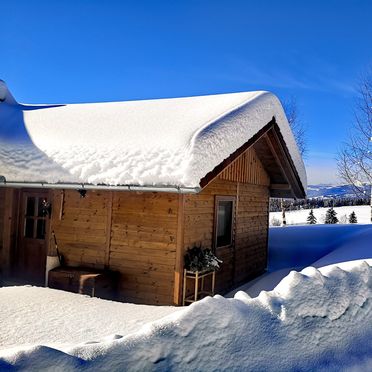 Winter, Kleine Almliebe, Preitenegg, Kärnten, Österreich