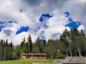 Kleine Almliebe - Kärnten - Österreich