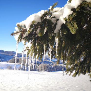 Aussicht, Kleine Almliebe, Preitenegg, Kärnten, Österreich