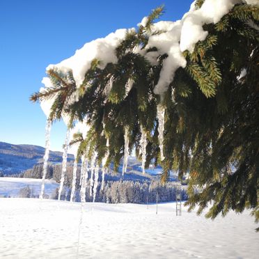 Aussicht, Kleine Almliebe, Preitenegg, Kärnten, Kärnten, Österreich